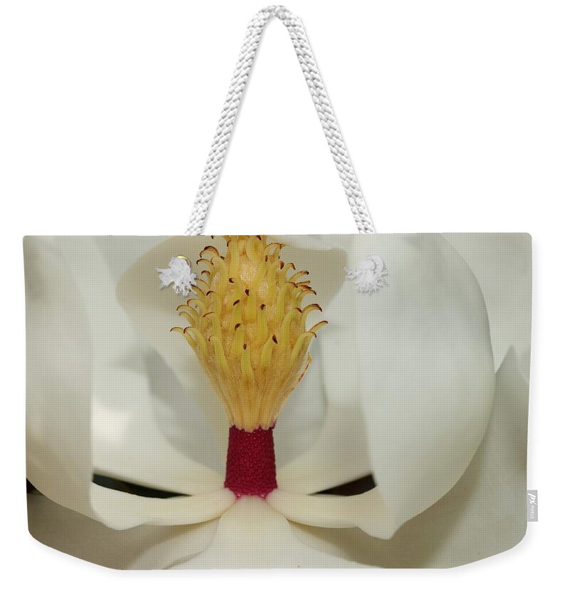 Magnolia Flower Weekender Tote Bag featuring the photograph Hidden Wonder 2 by Mingming Jiang