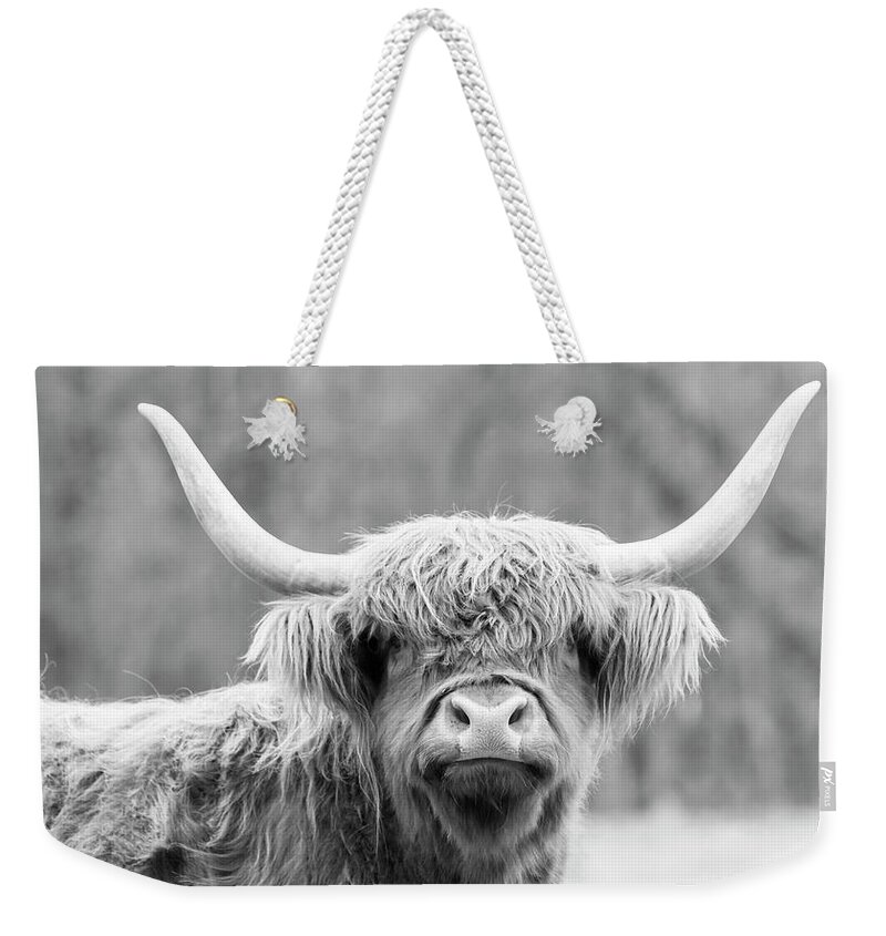 Cow Weekender Tote Bag featuring the photograph Highland Coo by Holly Ross