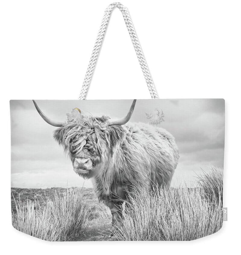 Cow Weekender Tote Bag featuring the photograph Highland Cow by Dorit Fuhg