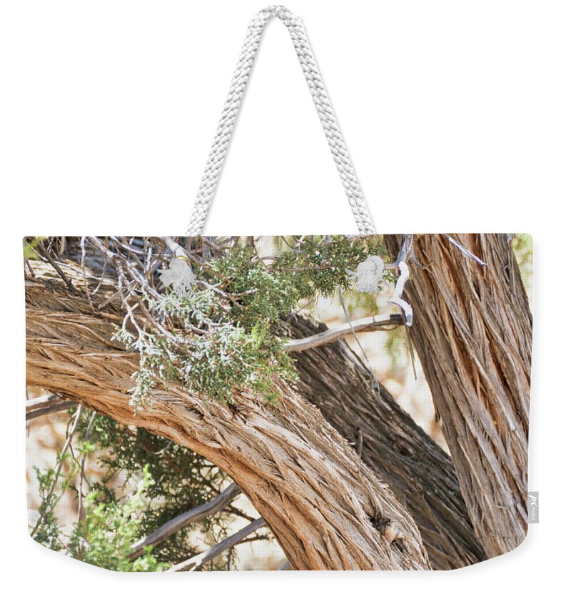 Flora Weekender Tote Bag featuring the photograph Highly textured tree trunk by Segura Shaw Photography