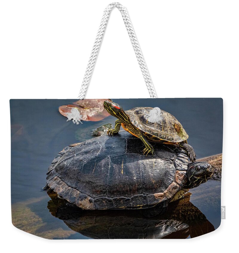 Lakes And Rivers Weekender Tote Bag featuring the photograph Hitch Hiker by Larey McDaniel
