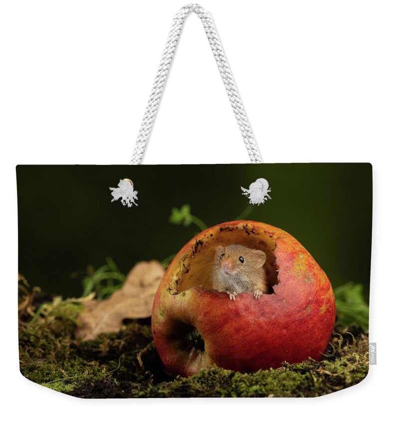 Harvest Weekender Tote Bag featuring the photograph Hm-2427 by Miles Herbert