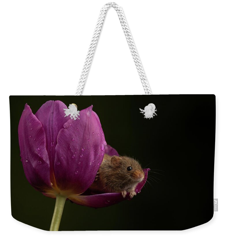Harvest Weekender Tote Bag featuring the photograph Hm-3471 by Miles Herbert