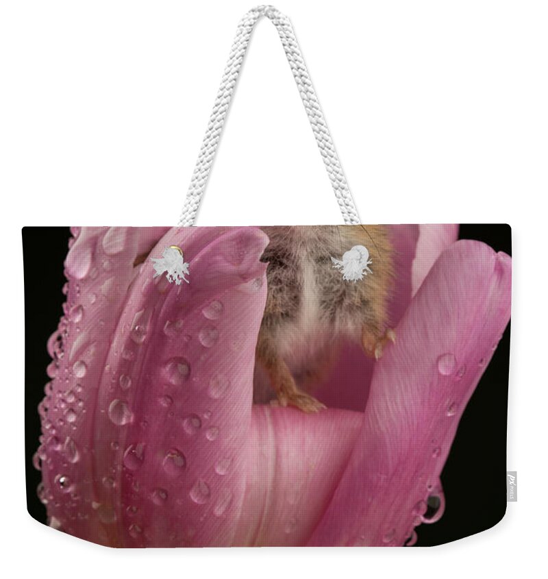 Harvest Weekender Tote Bag featuring the photograph Hm-6460 by Miles Herbert