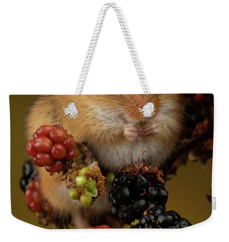 Harvest Weekender Tote Bag featuring the photograph Hm-8630 by Miles Herbert