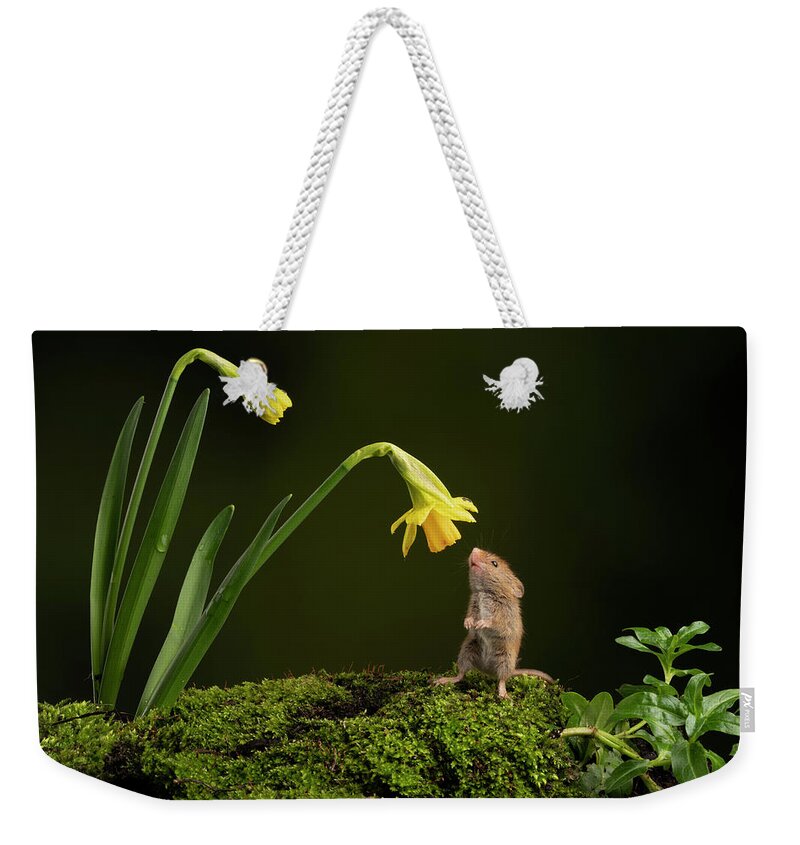 Harvest Weekender Tote Bag featuring the photograph HMdaff03443 by Miles Herbert