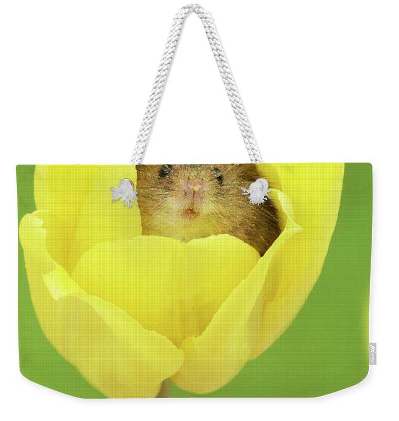Harvest Weekender Tote Bag featuring the photograph HMtulips by Miles Herbert