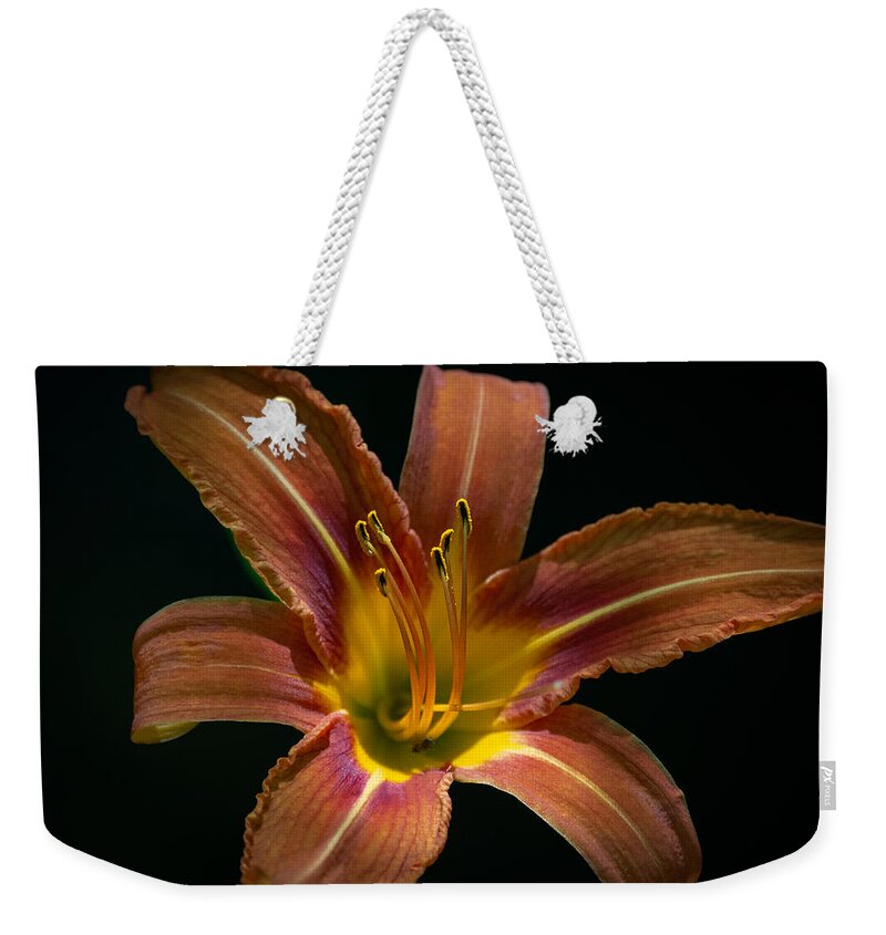 Daylily Weekender Tote Bag featuring the photograph Home is Where We Grow by Linda Bonaccorsi