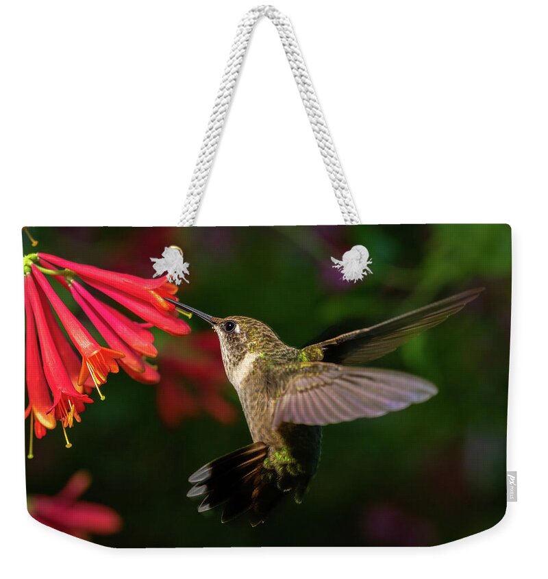Hummingbird Weekender Tote Bag featuring the photograph Honeysuckle Hummingbird by Brian Caldwell