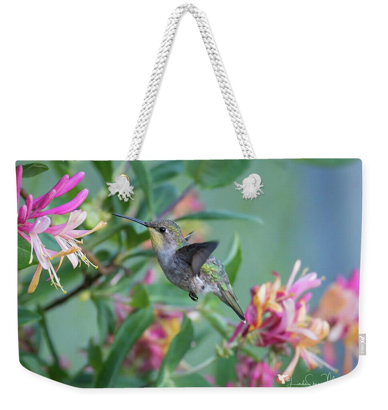 Nature Weekender Tote Bag featuring the photograph Honeysuckle Hummingbird by Linda Shannon Morgan