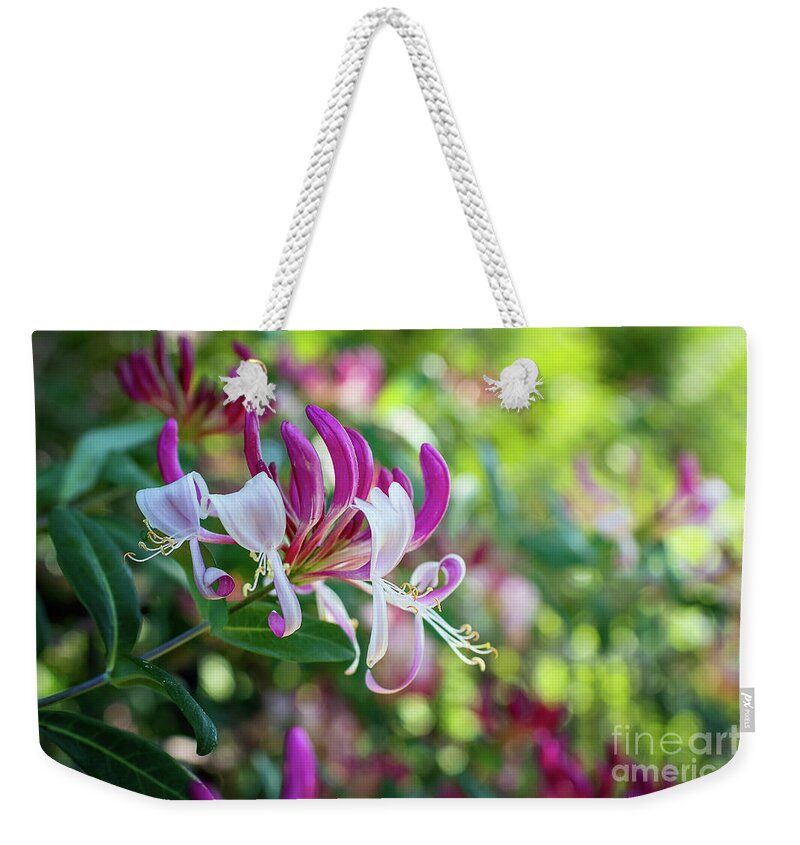 Honeysickle Weekender Tote Bag featuring the photograph Honeysuckle in the garden by Amy Dundon