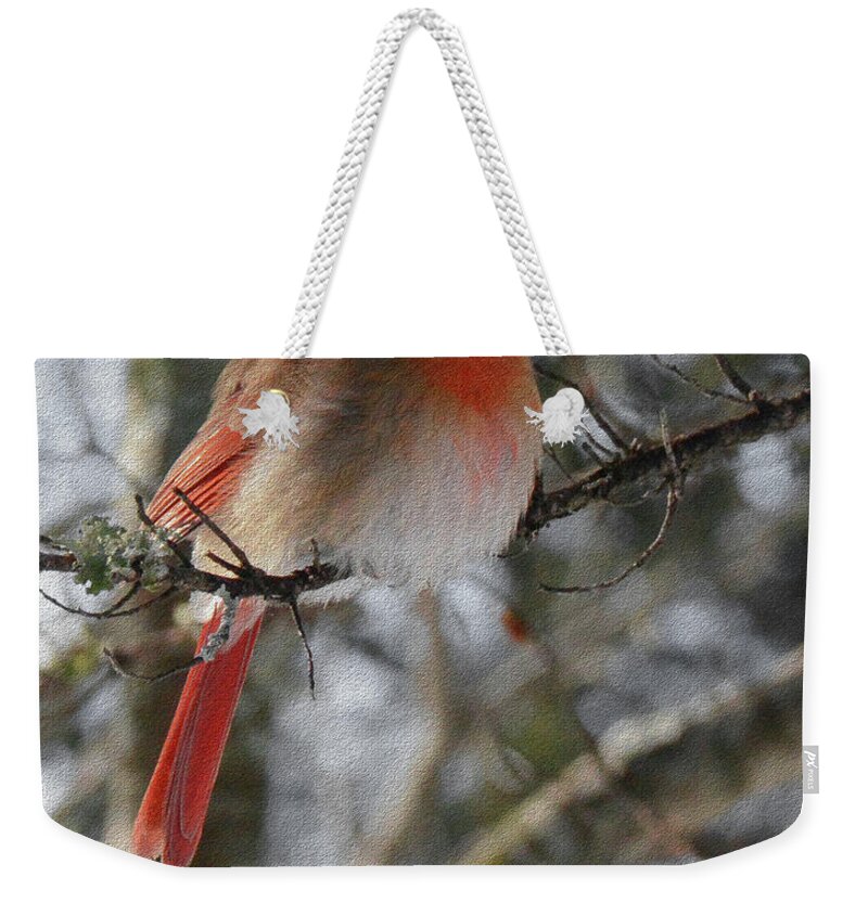 Bird Weekender Tote Bag featuring the digital art Hope by Constance Woods