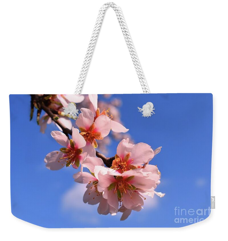 Flower Branch Weekender Tote Bag featuring the photograph Hope Flower Blossoms In Spring 02 by Leonida Arte