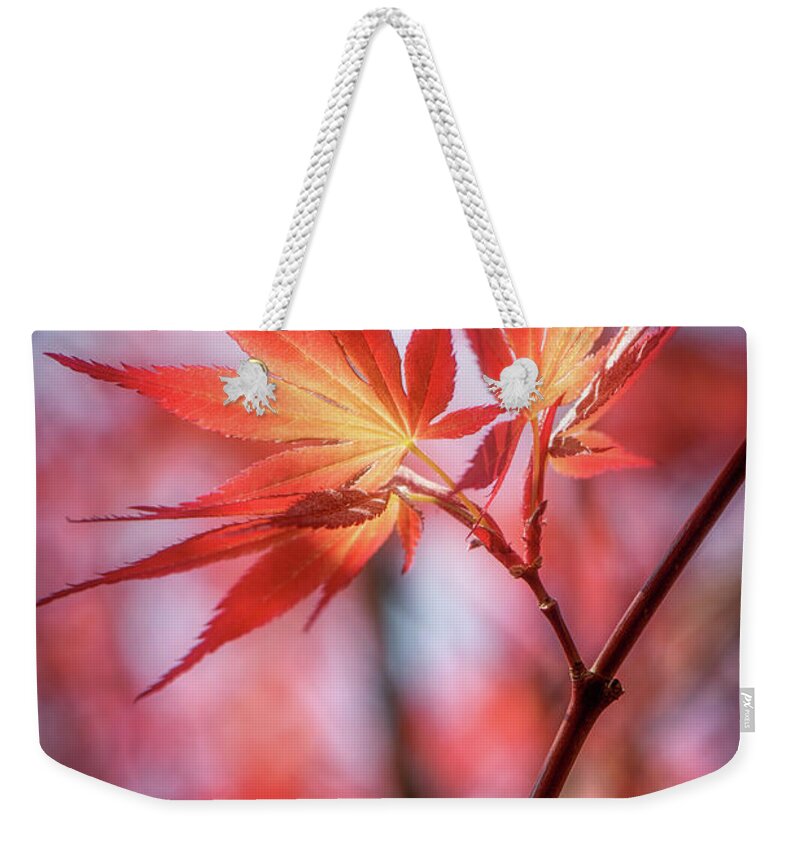 Leaves Weekender Tote Bag featuring the photograph Hope is Red by Philippe Sainte-Laudy