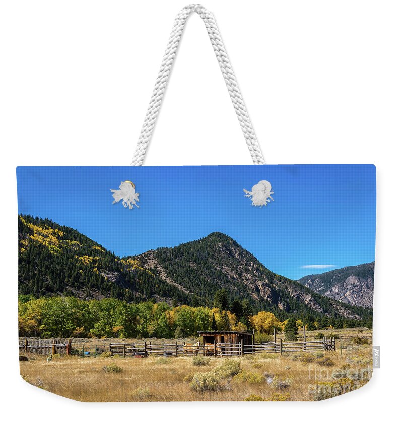 Jon Burch Weekender Tote Bag featuring the photograph Horse Country by Jon Burch Photography