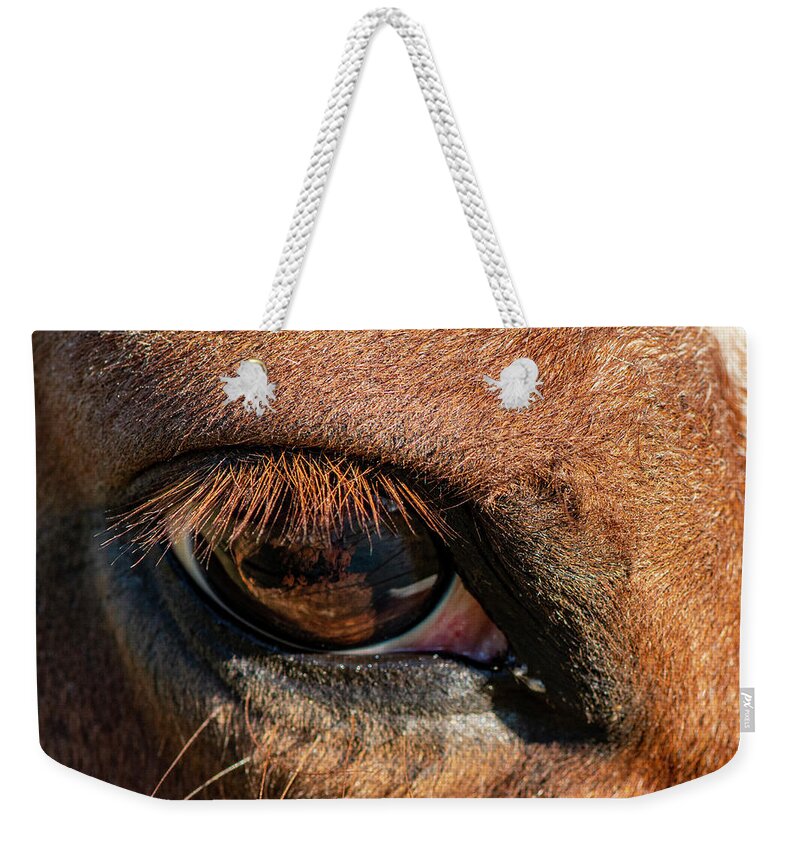 Horse Weekender Tote Bag featuring the photograph Horse Eye Close Up by Karen Rispin