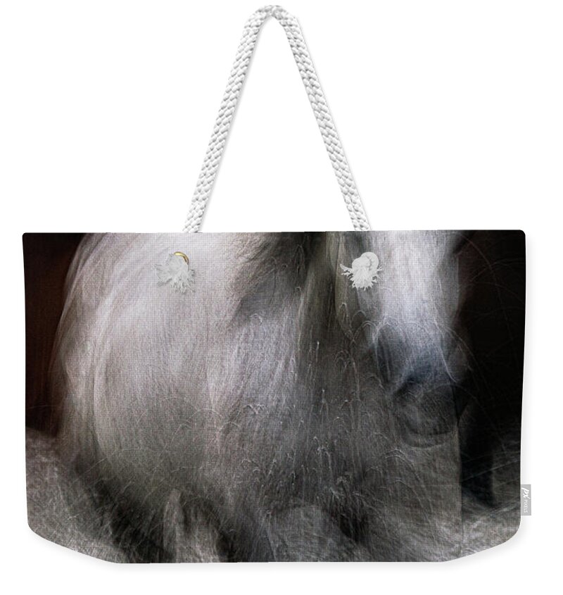 Landscape Weekender Tote Bag featuring the photograph Horse by Grant Galbraith