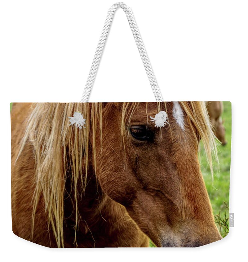 Horse Weekender Tote Bag featuring the photograph Horse Hello by Jennifer White