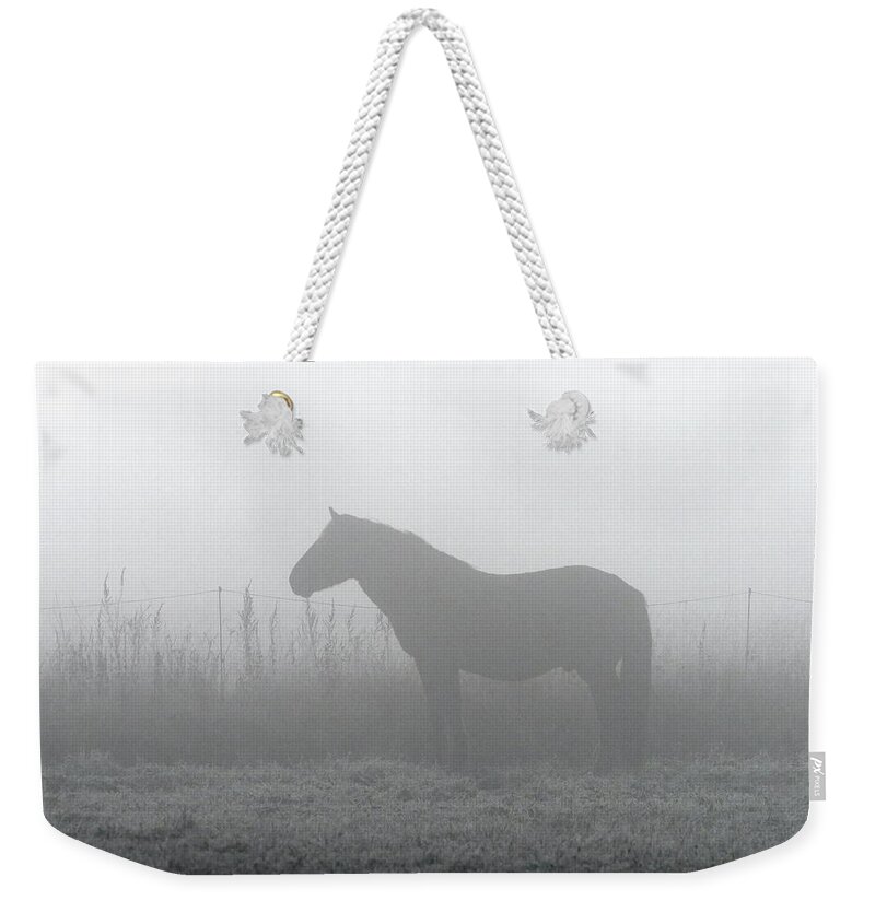 Equus Caballus Weekender Tote Bag featuring the photograph Horse in the gray world by Jouko Lehto