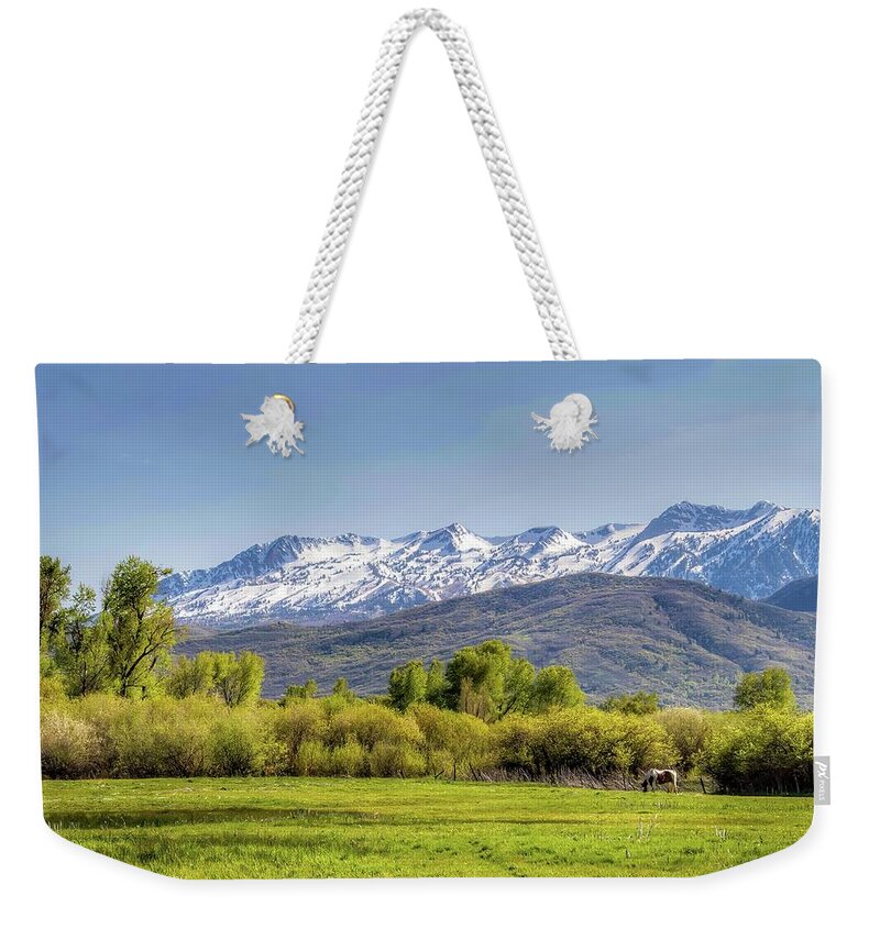 Utah Weekender Tote Bag featuring the photograph Horse in the Valley by Pam Rendall