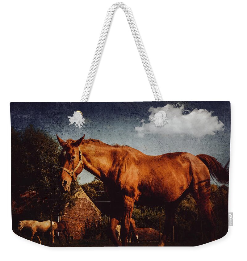 Horse Weekender Tote Bag featuring the photograph Horse by Yasmina Baggili
