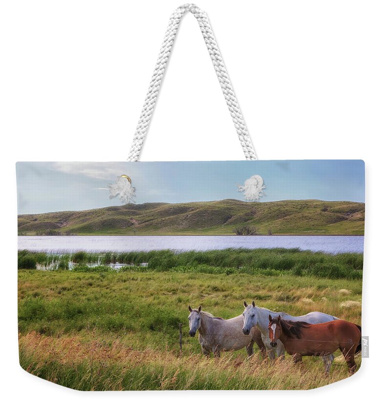 Horses Weekender Tote Bag featuring the photograph Horses at Beem Lake - Sandhills Journey by Susan Rissi Tregoning