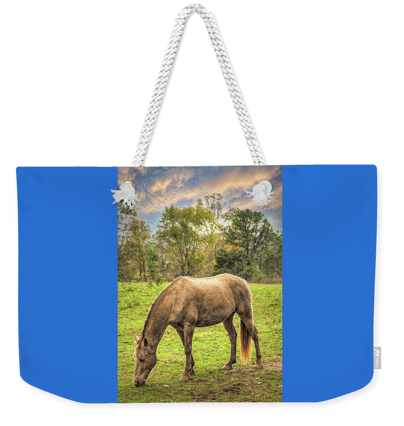Cades Weekender Tote Bag featuring the photograph Horses Grazing in Cades Cove by Debra and Dave Vanderlaan