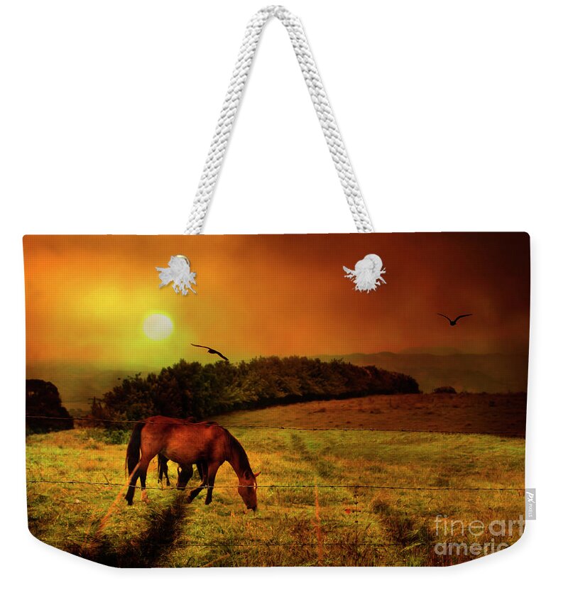 1944 Weekender Tote Bag featuring the photograph Horses In The Fog Near Cartago by Al Bourassa
