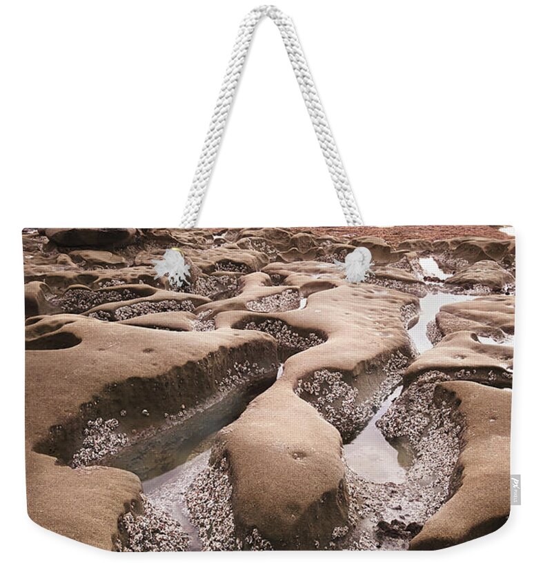 Beautiful Weekender Tote Bag featuring the photograph Hospitals Reef La Jolla by Gary Geddes