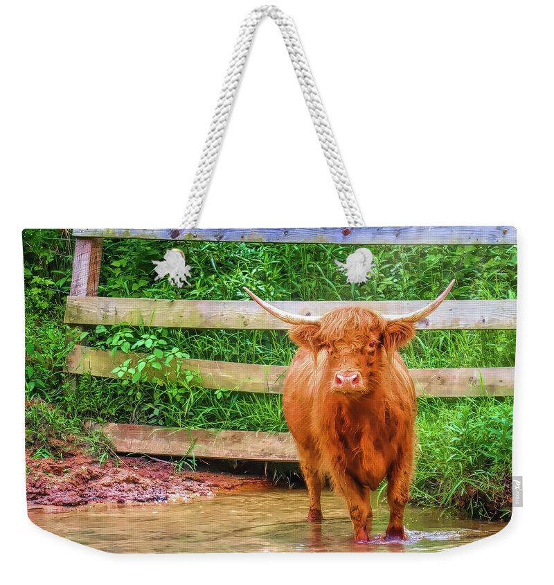 Hot Day Cool Creek Weekender Tote Bag featuring the photograph Hot Day, Cool Creek by Bellesouth Studio