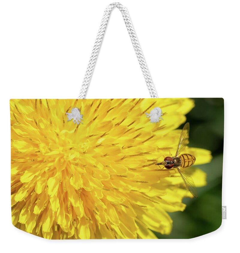 Hover Weekender Tote Bag featuring the photograph Hover Fly Breakfast by Brooke Bowdren