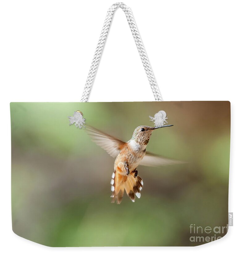 Al Andersen Weekender Tote Bag featuring the photograph Hovering Rufus Hummingbird by Al Andersen
