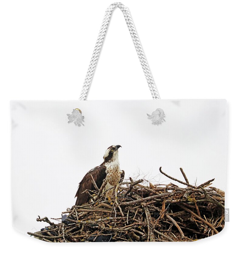 Osprey Weekender Tote Bag featuring the photograph How Long Does It Take by Debbie Oppermann