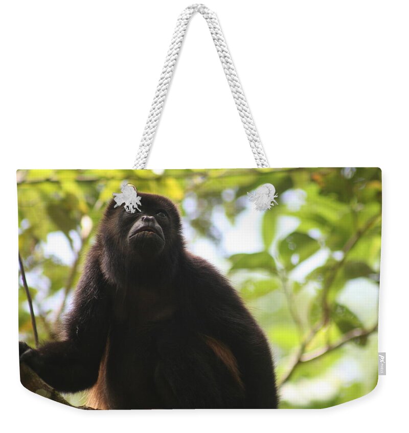 Howler Monkey Weekender Tote Bag featuring the photograph Howler Monkey by Laurie Lago Rispoli