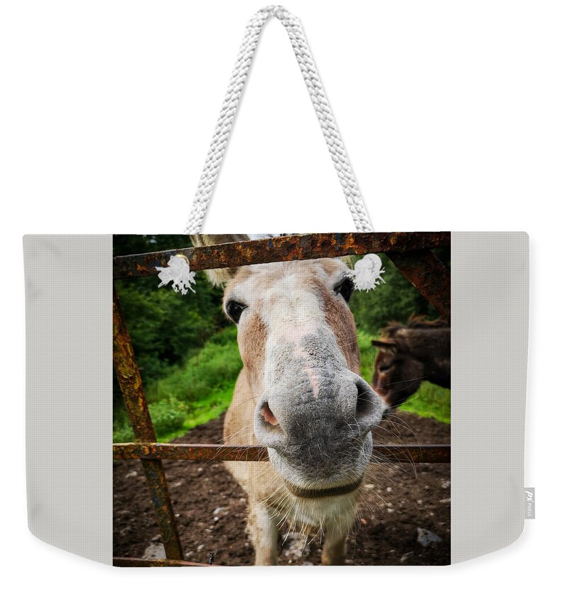 Donkey Weekender Tote Bag featuring the photograph How're Ya by Mark Callanan