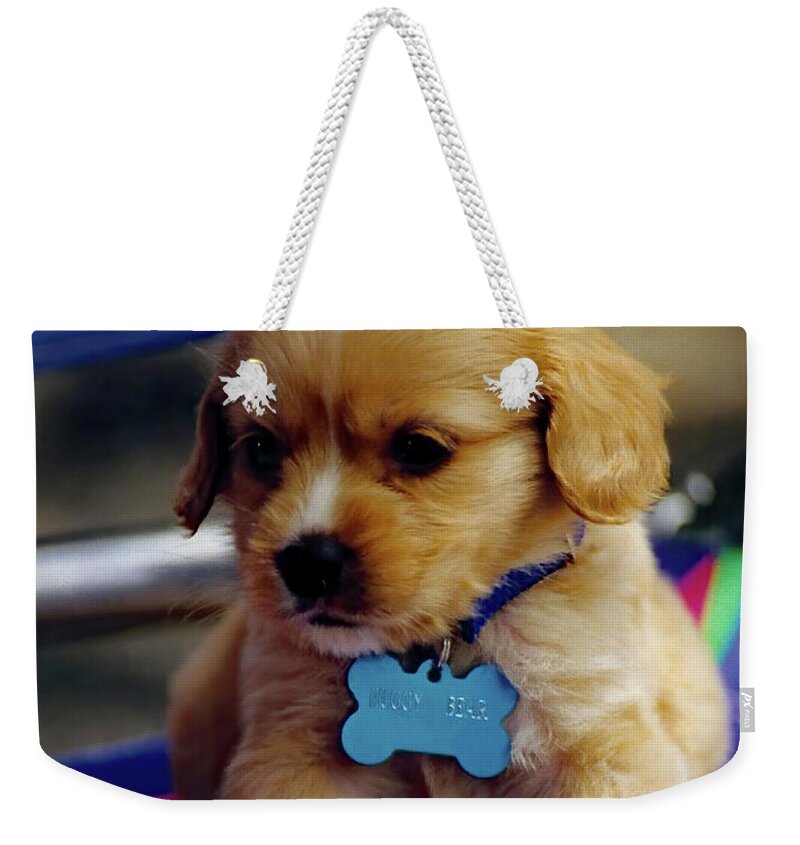 Puppy Weekender Tote Bag featuring the photograph Huggy Bear by Jennifer Robin