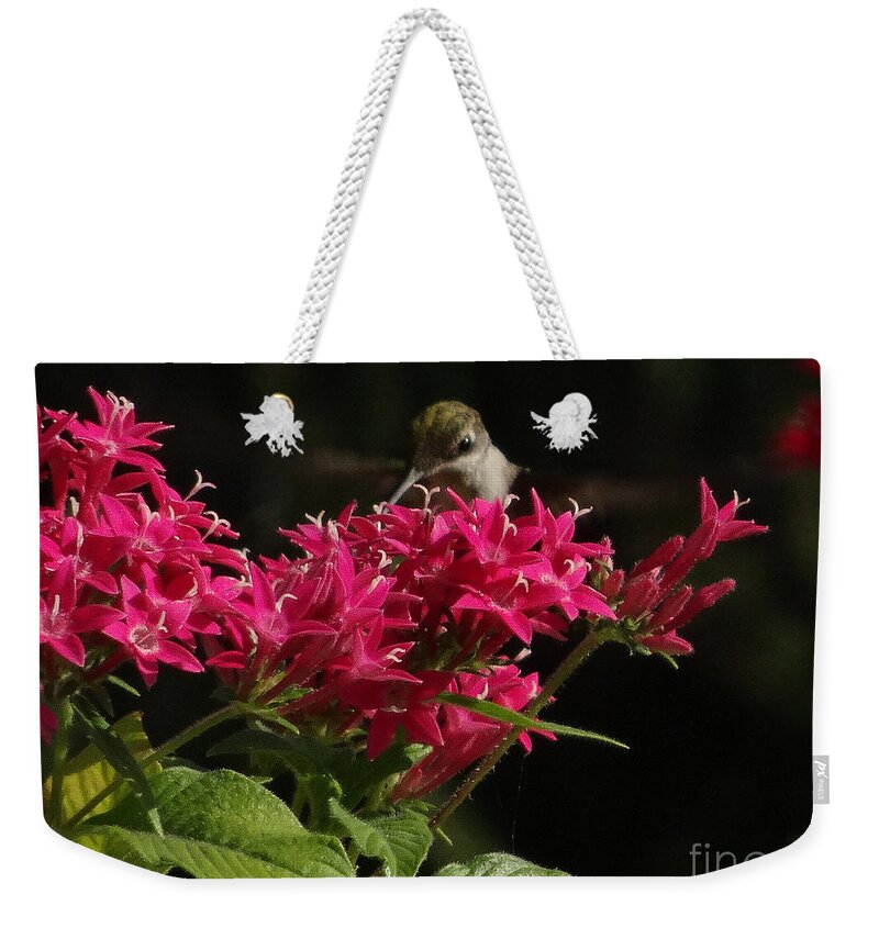 5 Star Weekender Tote Bag featuring the photograph Hummers on Deck- 2-03 by Christopher Plummer