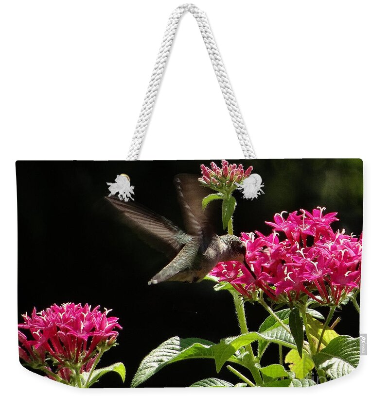 5 Star Weekender Tote Bag featuring the photograph Hummers on Deck- 2-06 by Christopher Plummer