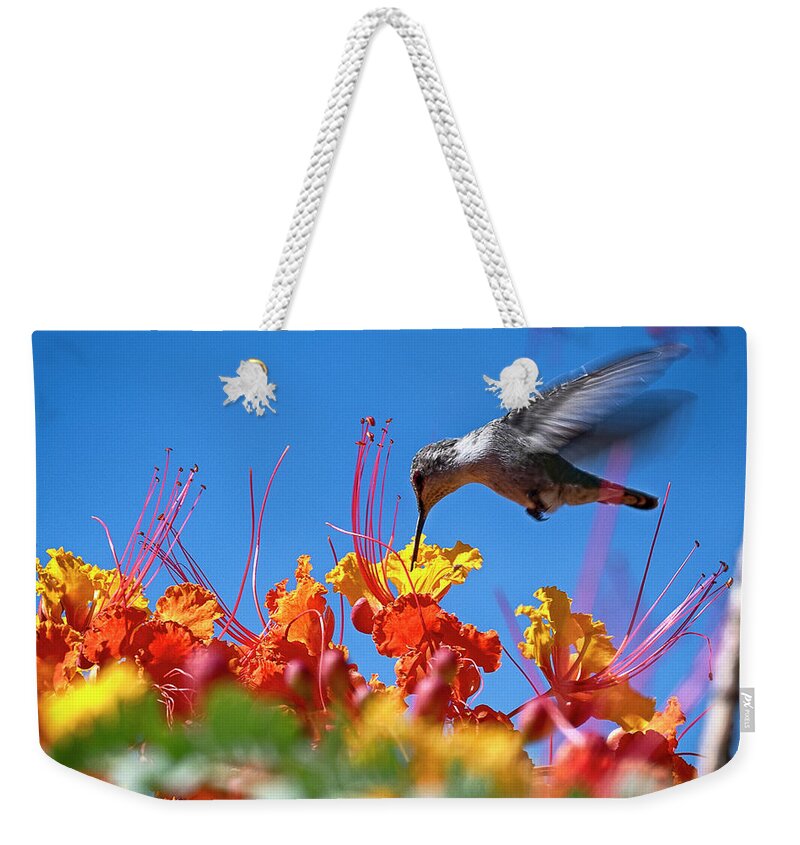 Action Weekender Tote Bag featuring the photograph Humming by Jay Heifetz