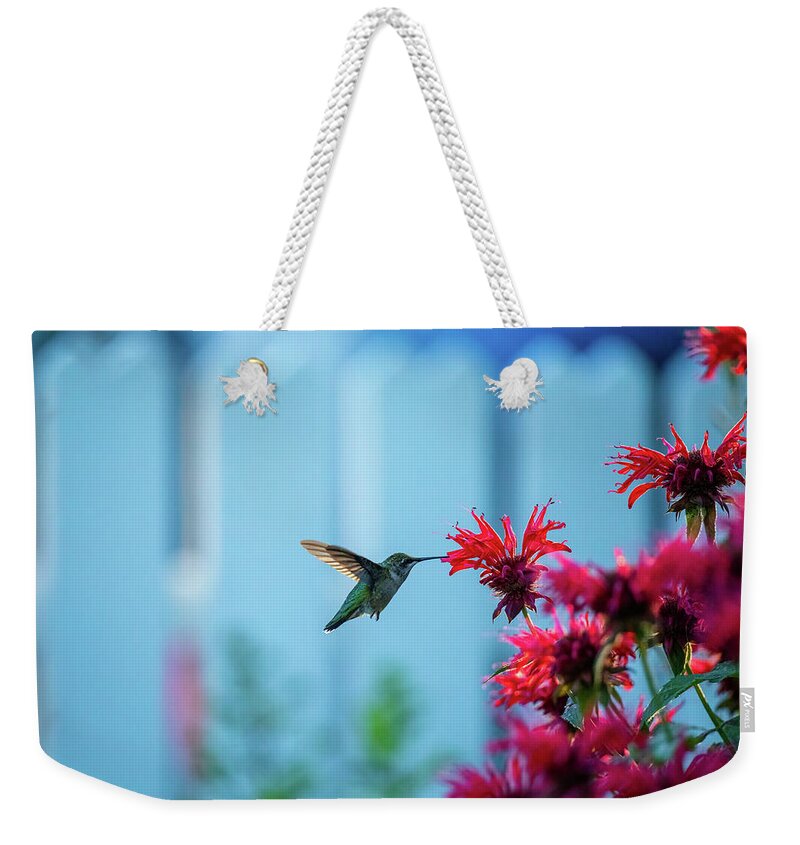 Monarda Didyma Weekender Tote Bag featuring the photograph Hummingbird and Red Bee Balm II by Rachel Morrison