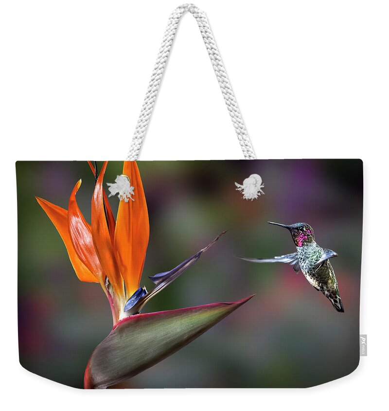 Hummingbird Weekender Tote Bag featuring the photograph Hummingbird and Bird Of Paradise by Endre Balogh