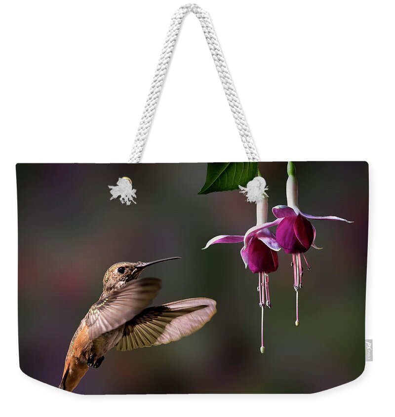 Hummingbird Weekender Tote Bag featuring the photograph Hummingbird and Fuchsias 2 by Endre Balogh