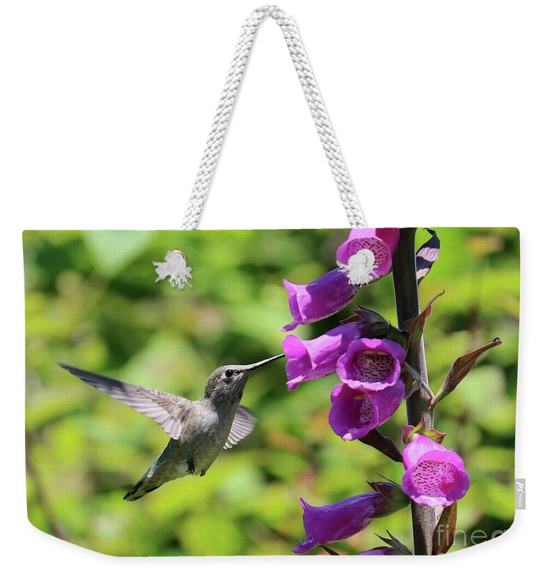 Hummingbird Weekender Tote Bag featuring the photograph Hummingbird in Pink Foxglove by Carol Groenen