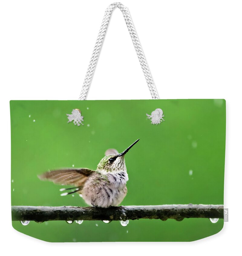 Hummingbird Weekender Tote Bag featuring the photograph Hummingbird In The Rain by Christina Rollo