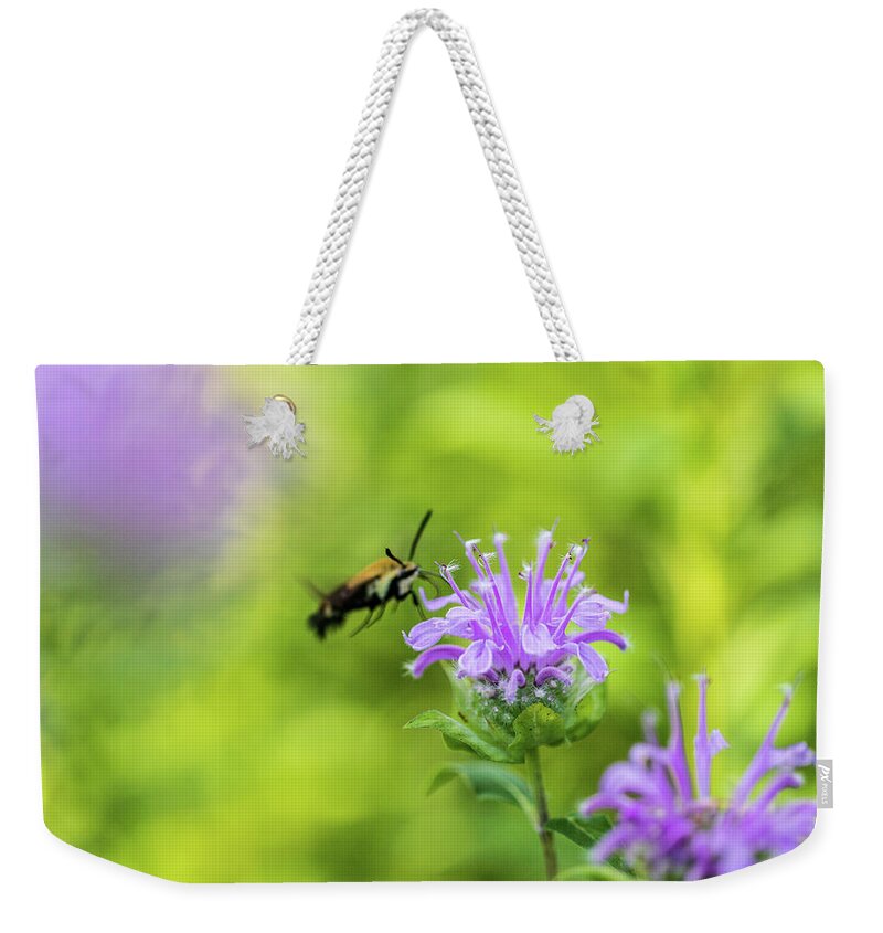 Plants Weekender Tote Bag featuring the photograph Hummingbird Moth - Delaware Water Gap by Amelia Pearn