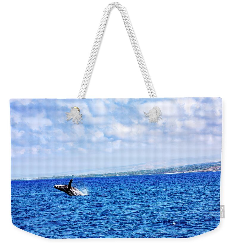  Humpback Whale Weekender Tote Bag featuring the photograph Humpback Breach on the Big Island by Anthony Jones