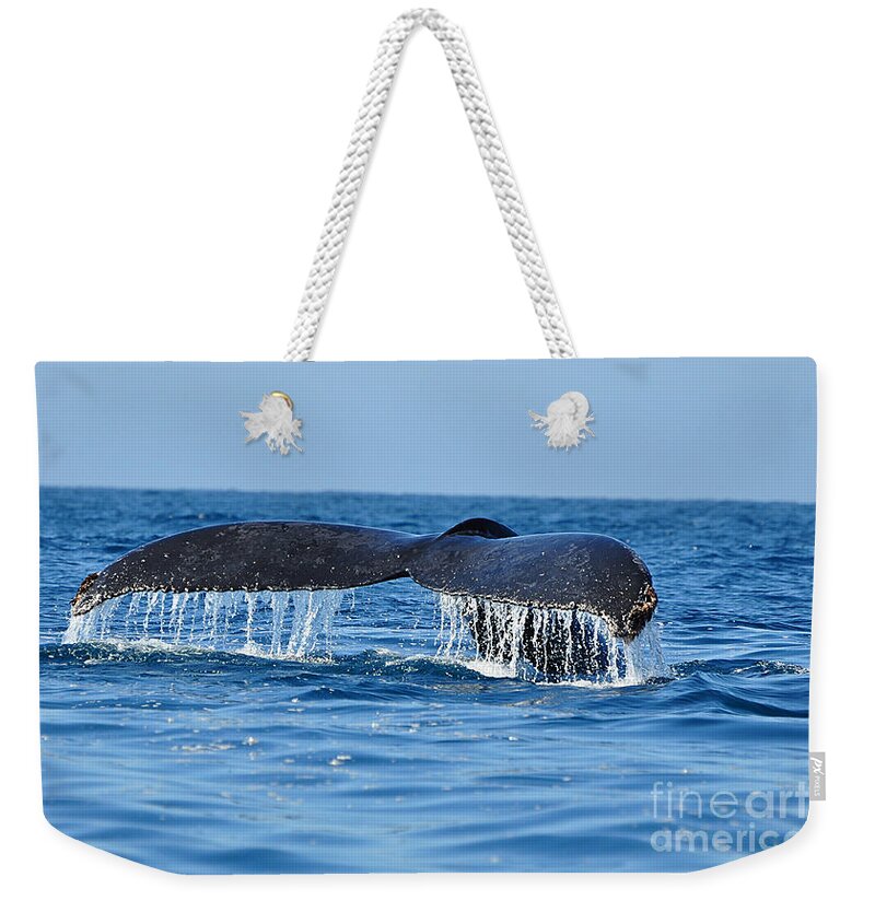 Fluke Weekender Tote Bag featuring the photograph Humpback Tail by Ed Stokes