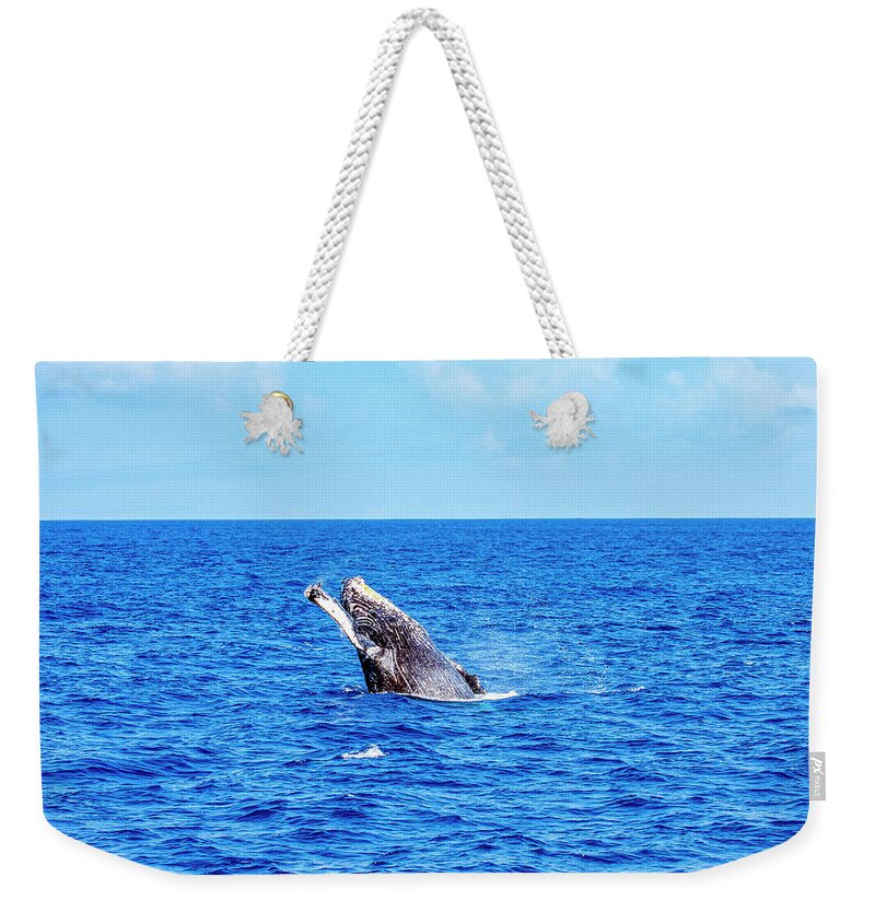 Humpback Whale Weekender Tote Bag featuring the photograph Humpback Whale Breach by Anthony Jones