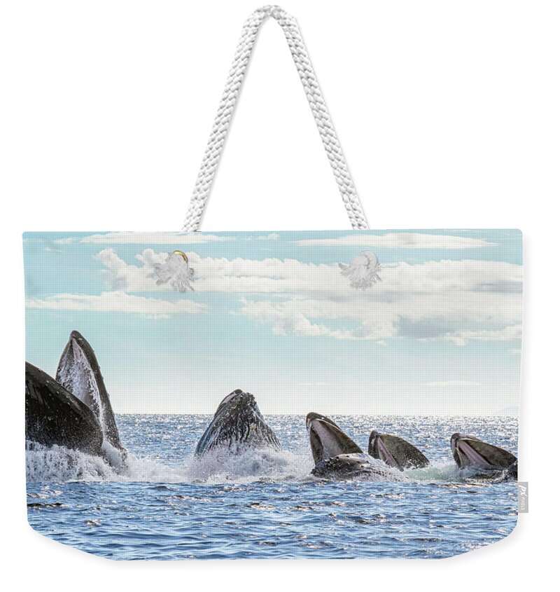 Whale Weekender Tote Bag featuring the photograph Humpbacks in a Row by Michael Rauwolf