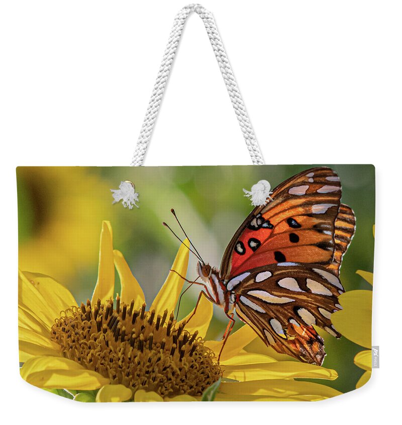 Insect Weekender Tote Bag featuring the photograph Hungry Butterfly by Jamie Tyler